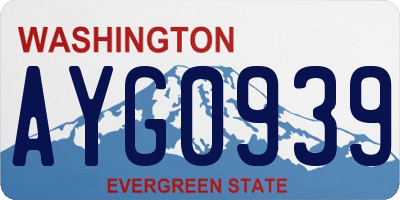 WA license plate AYG0939