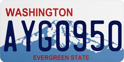 WA license plate AYG0950