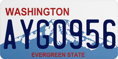 WA license plate AYG0956