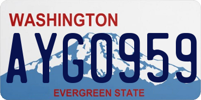 WA license plate AYG0959