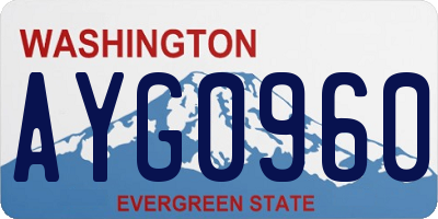 WA license plate AYG0960