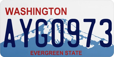 WA license plate AYG0973