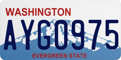 WA license plate AYG0975