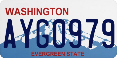 WA license plate AYG0979