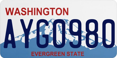 WA license plate AYG0980