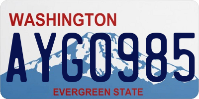 WA license plate AYG0985