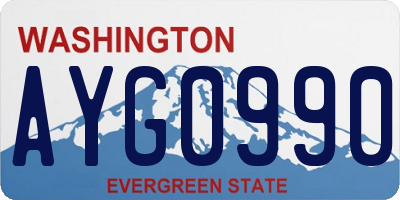 WA license plate AYG0990