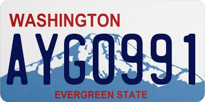 WA license plate AYG0991