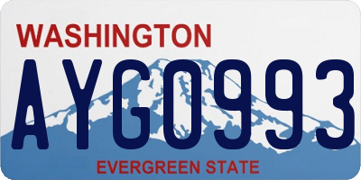 WA license plate AYG0993