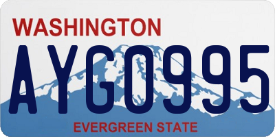 WA license plate AYG0995