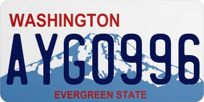 WA license plate AYG0996
