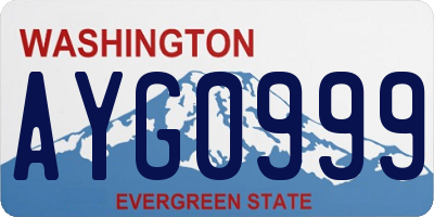WA license plate AYG0999