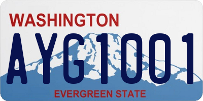 WA license plate AYG1001