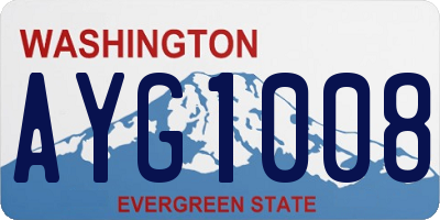 WA license plate AYG1008