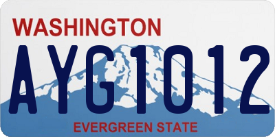 WA license plate AYG1012