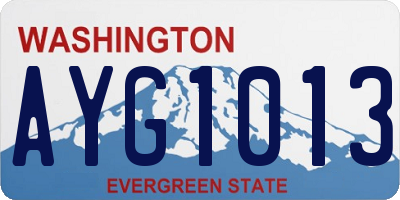 WA license plate AYG1013