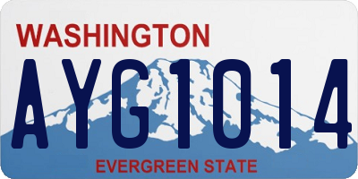 WA license plate AYG1014