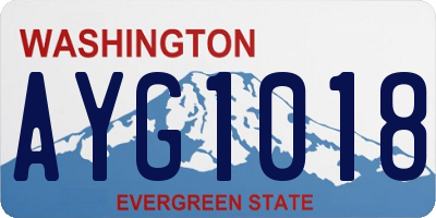 WA license plate AYG1018