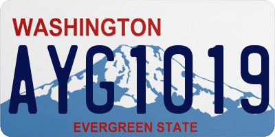 WA license plate AYG1019