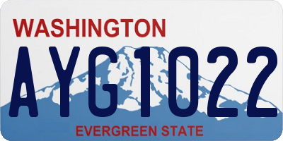 WA license plate AYG1022