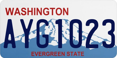 WA license plate AYG1023