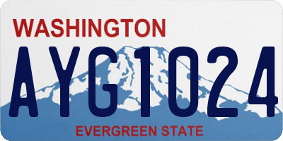 WA license plate AYG1024