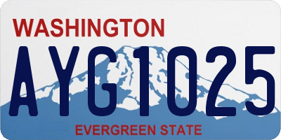 WA license plate AYG1025