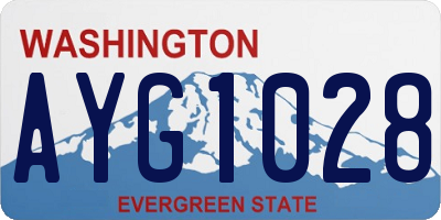 WA license plate AYG1028