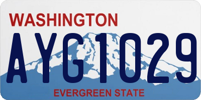 WA license plate AYG1029
