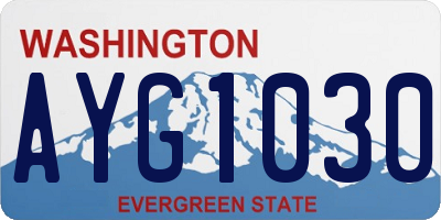WA license plate AYG1030