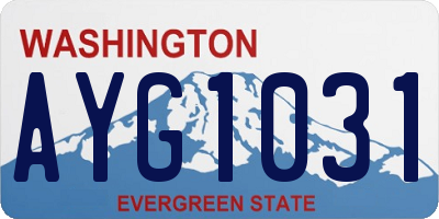 WA license plate AYG1031