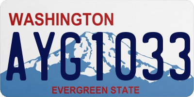 WA license plate AYG1033