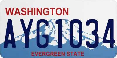 WA license plate AYG1034