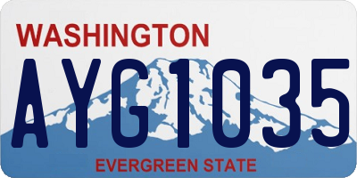 WA license plate AYG1035