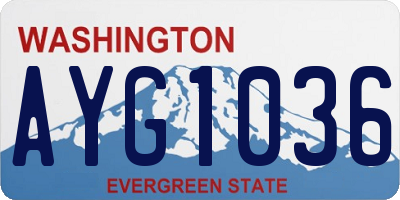 WA license plate AYG1036