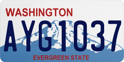 WA license plate AYG1037