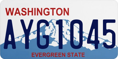 WA license plate AYG1045