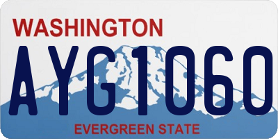 WA license plate AYG1060