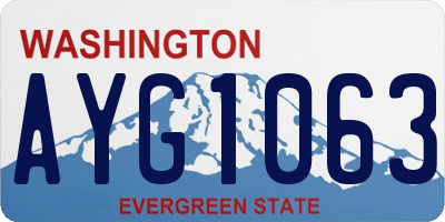 WA license plate AYG1063
