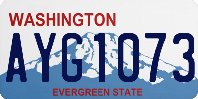 WA license plate AYG1073