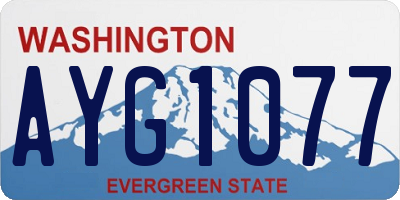 WA license plate AYG1077