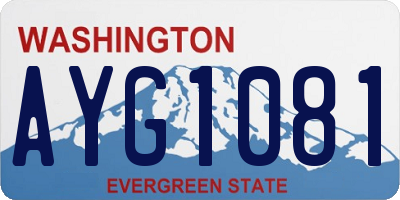 WA license plate AYG1081