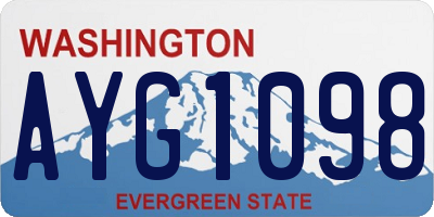 WA license plate AYG1098