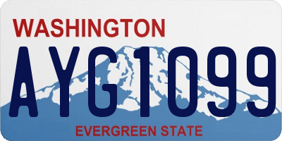 WA license plate AYG1099