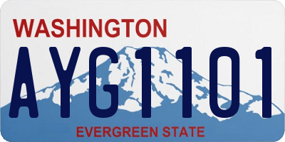 WA license plate AYG1101