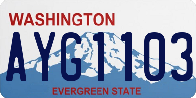 WA license plate AYG1103