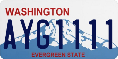 WA license plate AYG1111