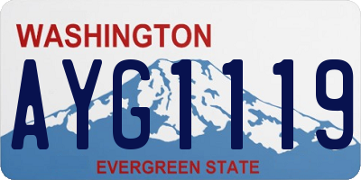 WA license plate AYG1119