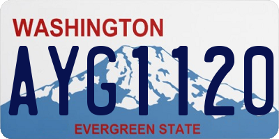 WA license plate AYG1120