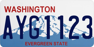 WA license plate AYG1123